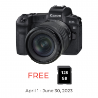 Canon EOS R with RF 24-105mm STM Kit