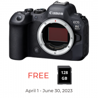 Canon EOS R6 Mark II Body