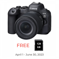 Canon EOS R6 Mark II with 24-105mm IS STM Kit