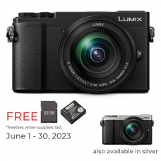 Panasonic Lumix DMC-GX9 with 12-60mm