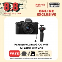 Panasonic Lumix G100 with 12-32mm with Grip