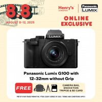Panasonic Lumix G100 with 12-32mm without Grip