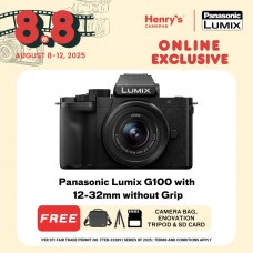 Panasonic Lumix G100 with 12-32mm without Grip