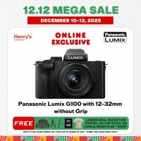 Panasonic Lumix G100 with 12-32mm without Grip