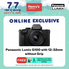 Panasonic Lumix G100 with 12-32mm without Grip
