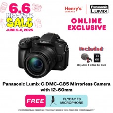 Panasonic Lumix G DMC-G85 Mirrorless Camera with 12-60mm