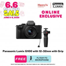 Panasonic Lumix G100 with 12-32mm with Grip