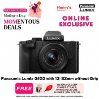 Panasonic Lumix G100 with 12-32mm without Grip
