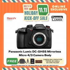 Panasonic Lumix DC-GH5S Mirrorless Micro 4/3 Camera Body