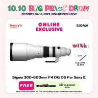 Sigma 300-600mm F4 DG OS For Sony E