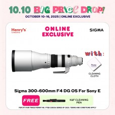 Sigma 300-600mm F4 DG OS For Sony E