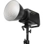 Amaran Ray 360c RGB LED Monolight