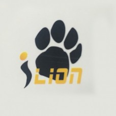 I-LION BATTERY NP-BN1