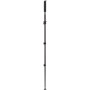 Benro Bpi MAD38C Advanced Series Carbon Fiber Monopod