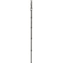 Benro MSD46C Supadupa Monopod