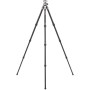 Benro TTOR34CGX35 Carbon Fiber Tripod with GX35 Ballhead