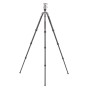 Benro FRHN24CVX25 Rhino Series Prof. Carbon Fiber Tripod W/ V36 Ballhead For Camera