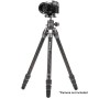 Benro TTOR14CGX25 Tortoise One Series Carbon Fiber Tripod w/ GX25 Ball Head