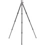 Benro TTOR24CGX30 Tortoise Two Series Carbon Fiber Tripod with GX30 Ball Head