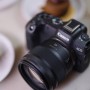 Canon 45mm f/1.2 STM Lens (Canon RF) [PRE-ORDER]