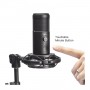 Enovation Flyday BF4 USB Condenser Mic