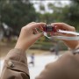 Fotopro X Rollei M1 Mini Camera (Blind Box)