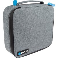 Gopole Venture Case