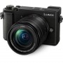 Panasonic Lumix DMC-GX9 with 12-60mm