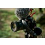 Sigma 20-200mm F3.5-6.3 DG Contemporary Lens for Sony E / L- Mount