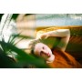 Sigma 35mm F1.2 DG II Art for Sony E / L- Mount