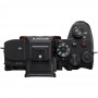 Sony Alpha A7R V Body