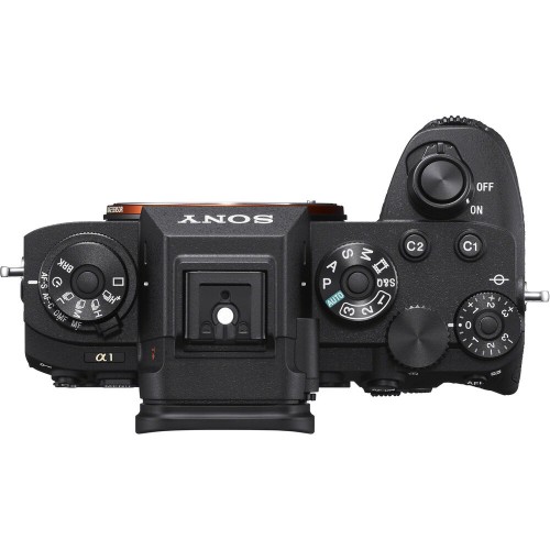 no 1 mirrorless camera