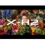 Fujifilm X-H2 Body [Pre-Order]