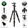 Zomei Q666 Proline Tripod with Ballhead